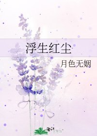 浮生红尘