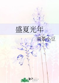 盛夏光年