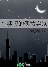 小嘍囉的偶然穿越